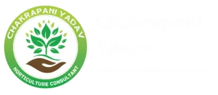 Chakrapani Yadav